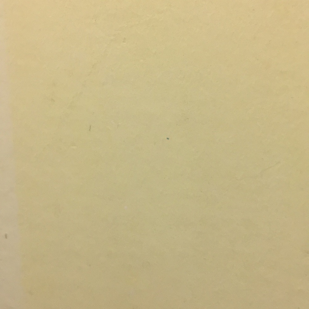 Meet your Posher, Elisa